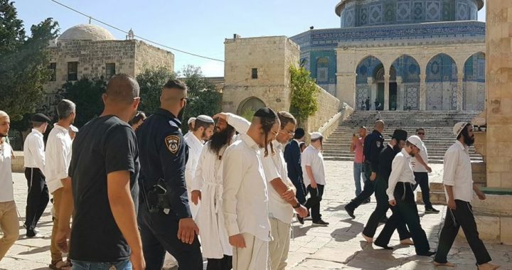 Gerusalemme, 2141 coloni hanno invaso al-Aqsa la settimana scorsa