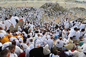 بالصور والفيديو..."يوم عرفة"...ركن الحج الأعظم