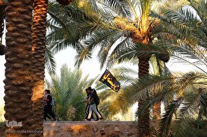 تقرير مصور...مسيرة زوار الأربعين في "طريق العلماء"
