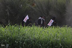 Official Highlights Secret to Success of Arbaeen Service Delivery