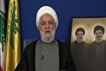 Statements Not Enough, Action Needed to Stop US-Israeli War on Gaza: Hezbollah