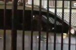 Hate Crime Probe Sought Into Anti-Muslim Harassment in Stamford