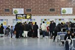 No Security Violations Recorded during Arbaeen Procession So Far: Iraq