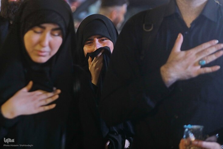 Photos: When Arbaeen Pilgrims See Karbala Shrines