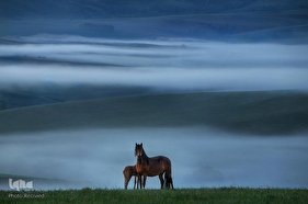 تصاویر برگزیده هفته نشنال‌جئوگرافیک