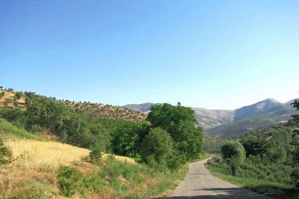 سفری دیدنی به شهر زیبای بانه