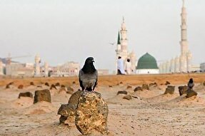 پادکست | فاطمه زهرا (س) نور خداست