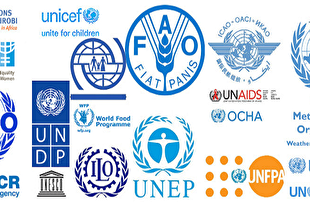 سازمان‌های بین‌المللی جهت‌گیری ناعادلانه به نفع صهیونیسم دارند