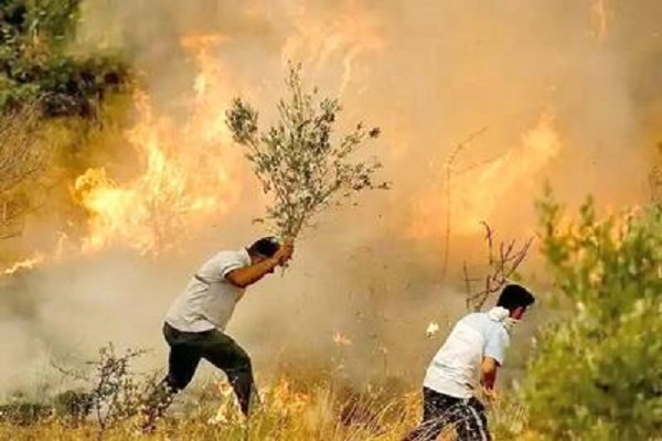 آتش سوزی در آبیدر آتش سوزی در آبیدر