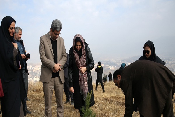 پویش نهضت درختکاری پویش نهضت درختکاری