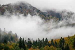 Borçka&#039;daki Karagöl, güz renklerine büründü